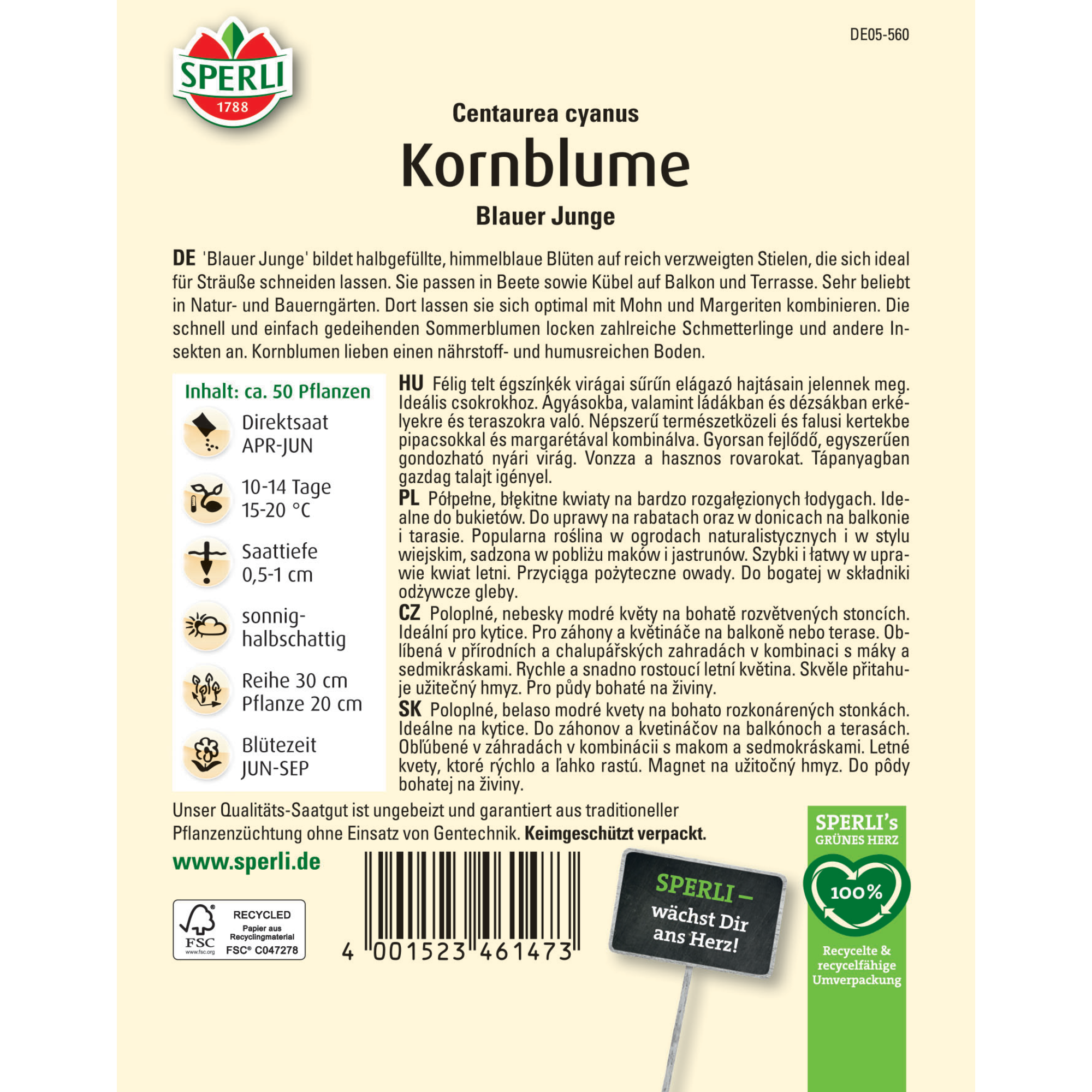 Kornblume 'Blauer Junge'