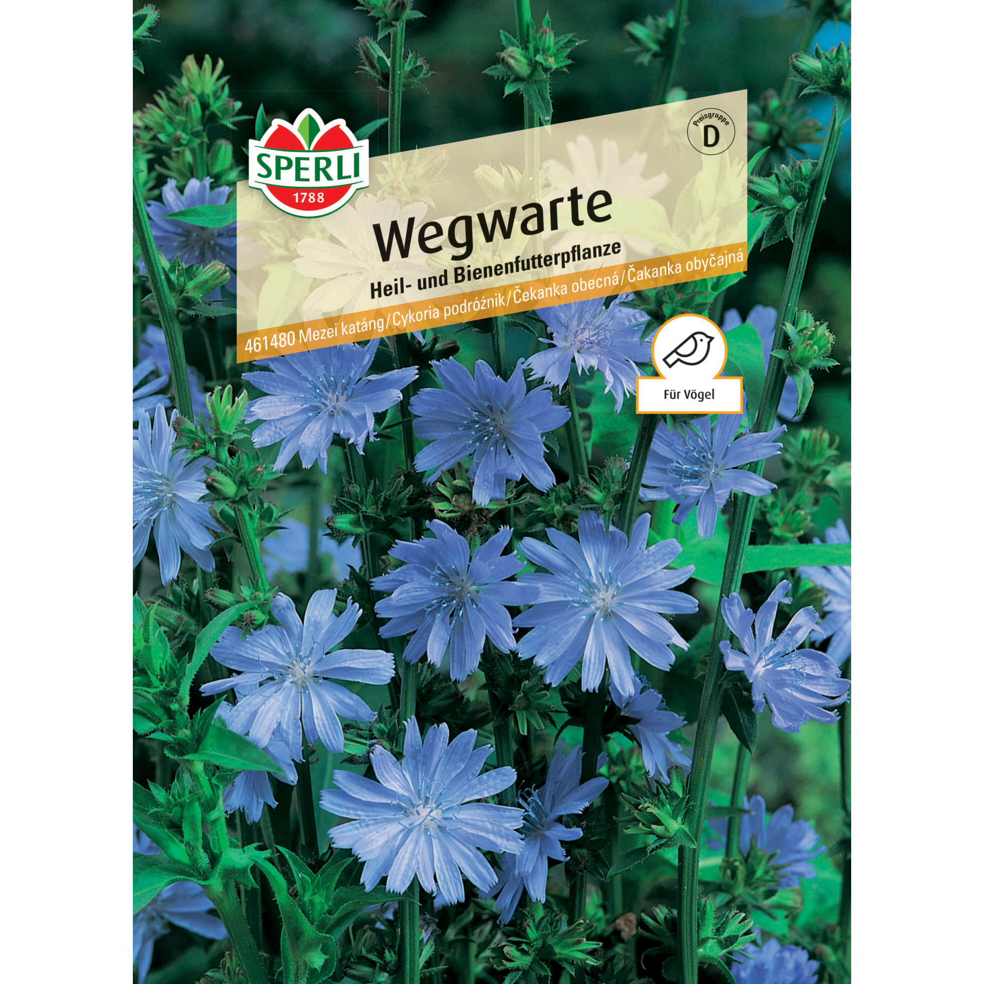 Wegwarte