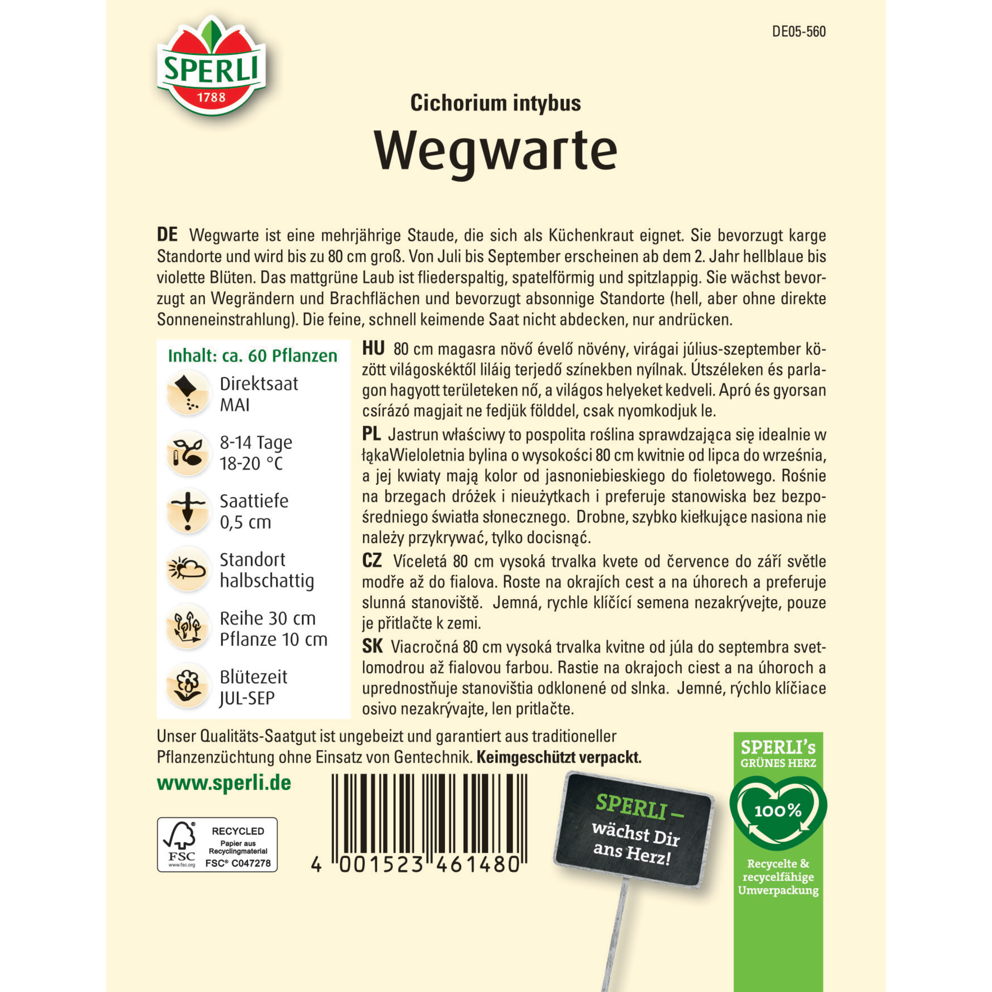 Wegwarte