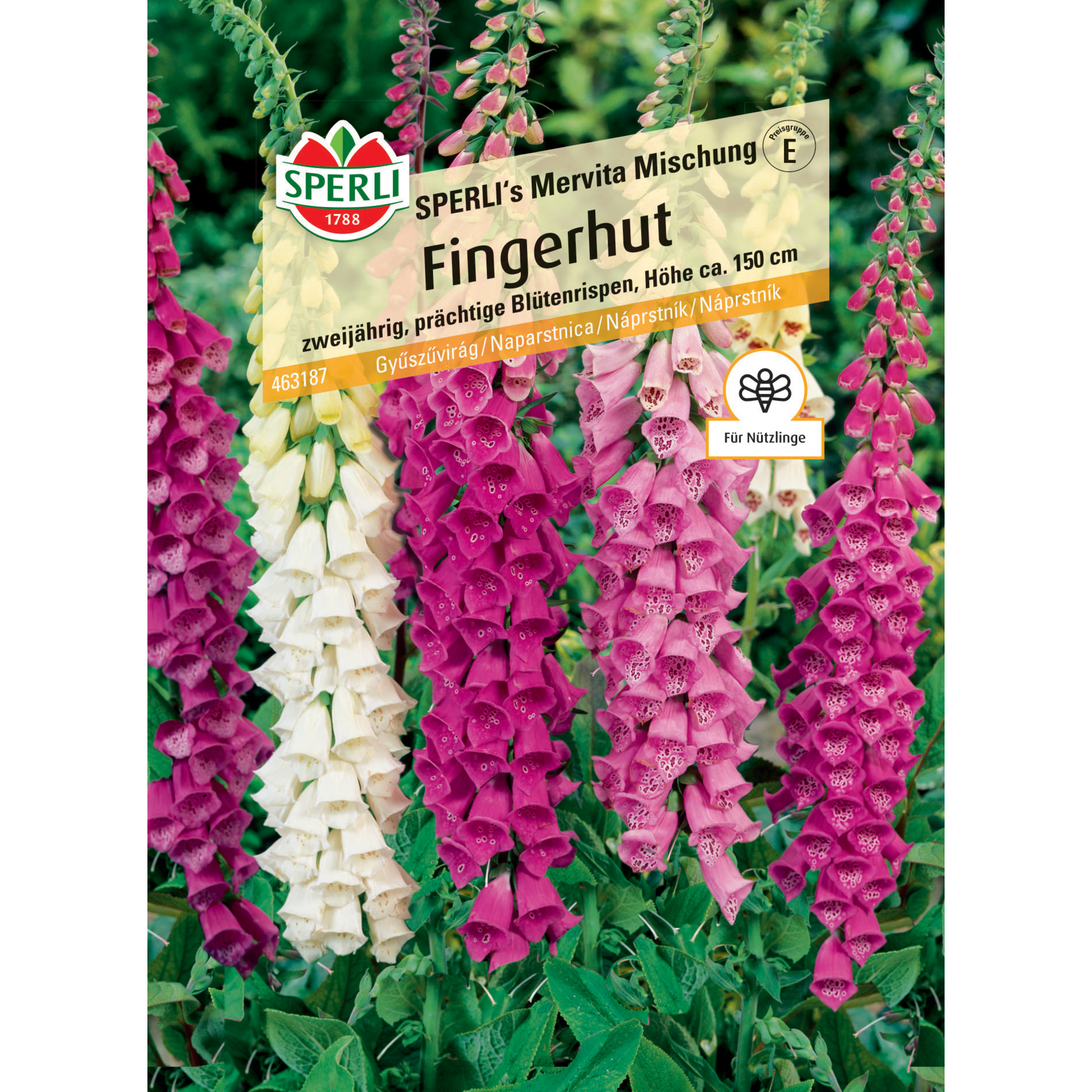 Fingerhut 'SPERLI's Mervita Mischung'