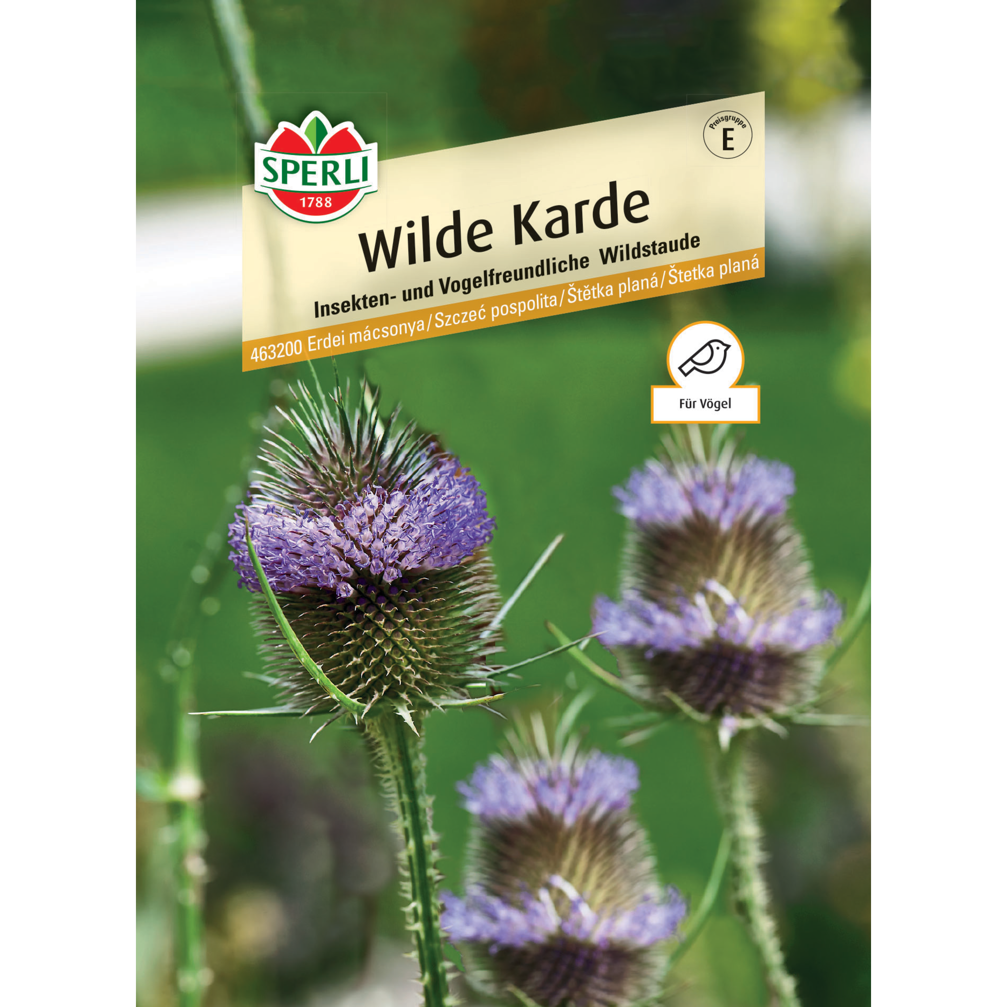 Wilde Karde