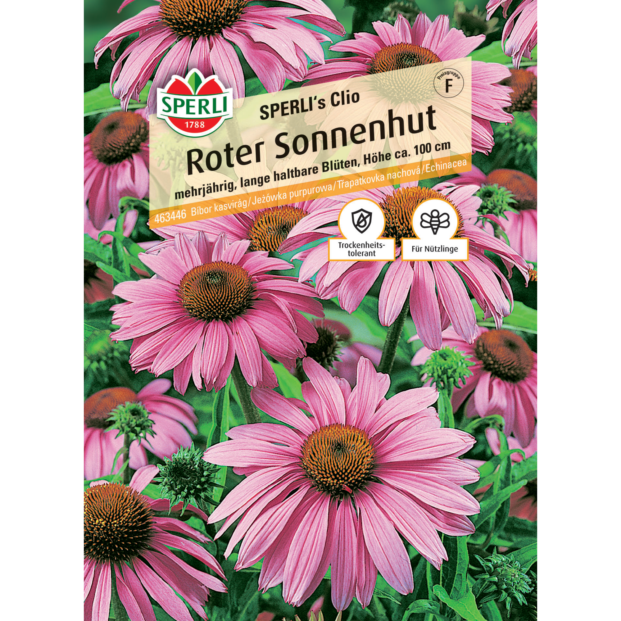 Roter Sonnenhut 'SPERLI's Clio'