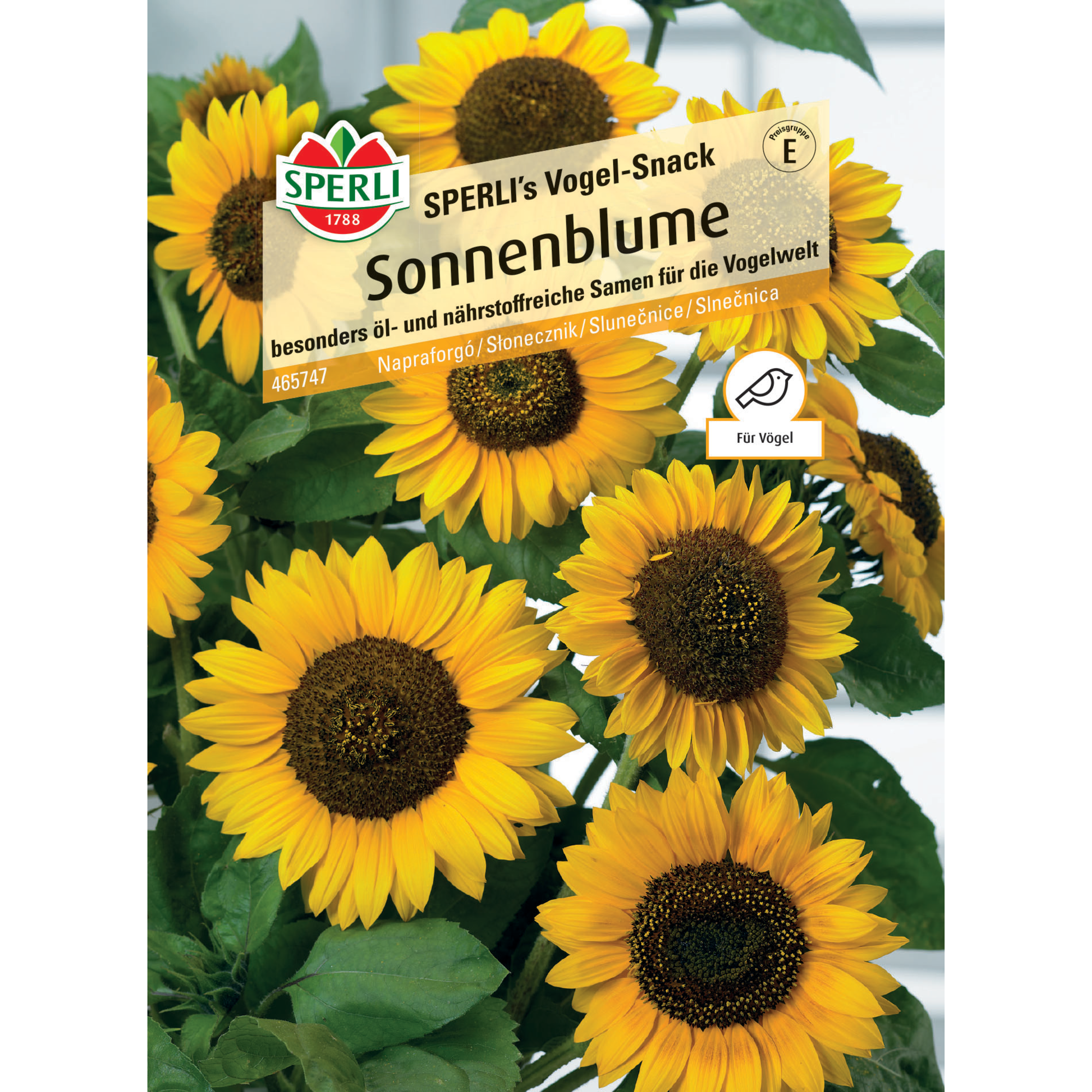 Sonnenblume 'SPERLI's Vogel-Snack'