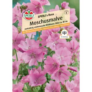 Moschusmalve 'SPERLI's Rosa'