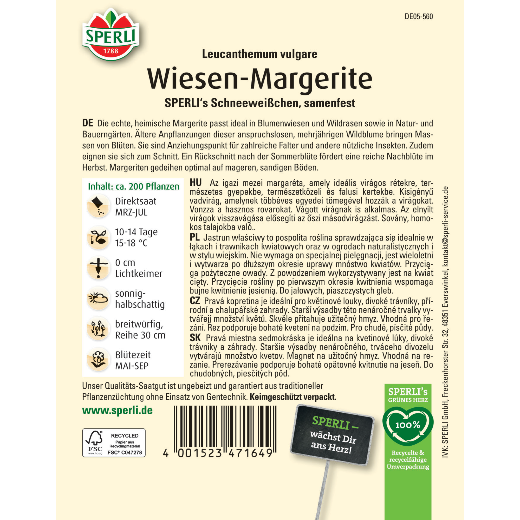 Wiesen-Margerite 'SPERLI's Schneeweißchen'
