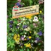 hauptbild