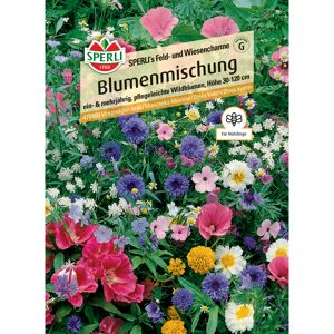 Blumenmischung 'Feld- und Wiesencharme'