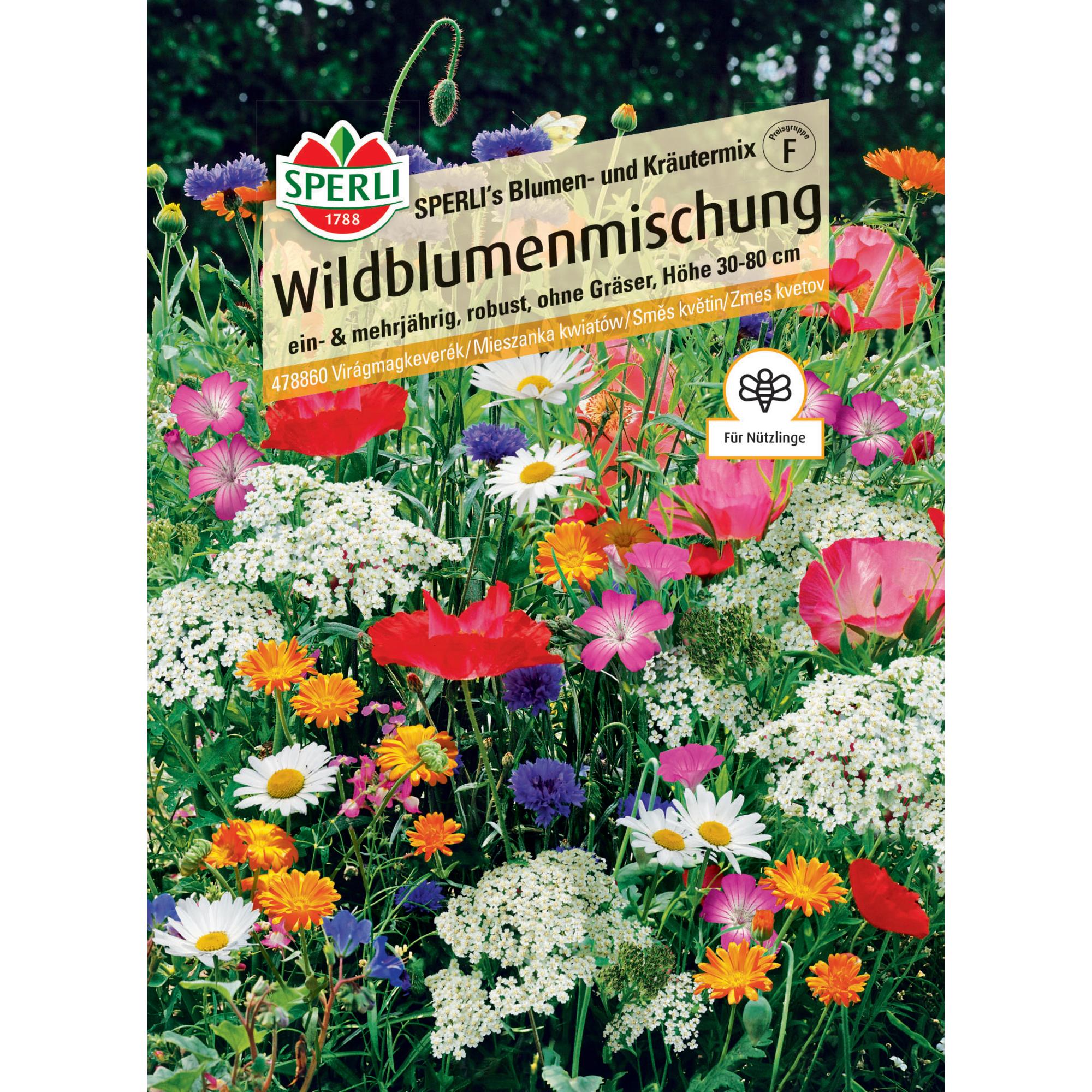 Wildblumenmischung 'Blumen- und Kräutermischung'
