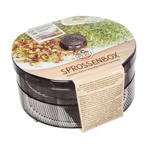 Sprossenbox Anzuchtset