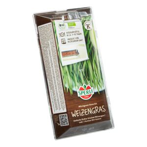 BIO-Microgreen 'Grow Kit' Anzuchtset Weizengras