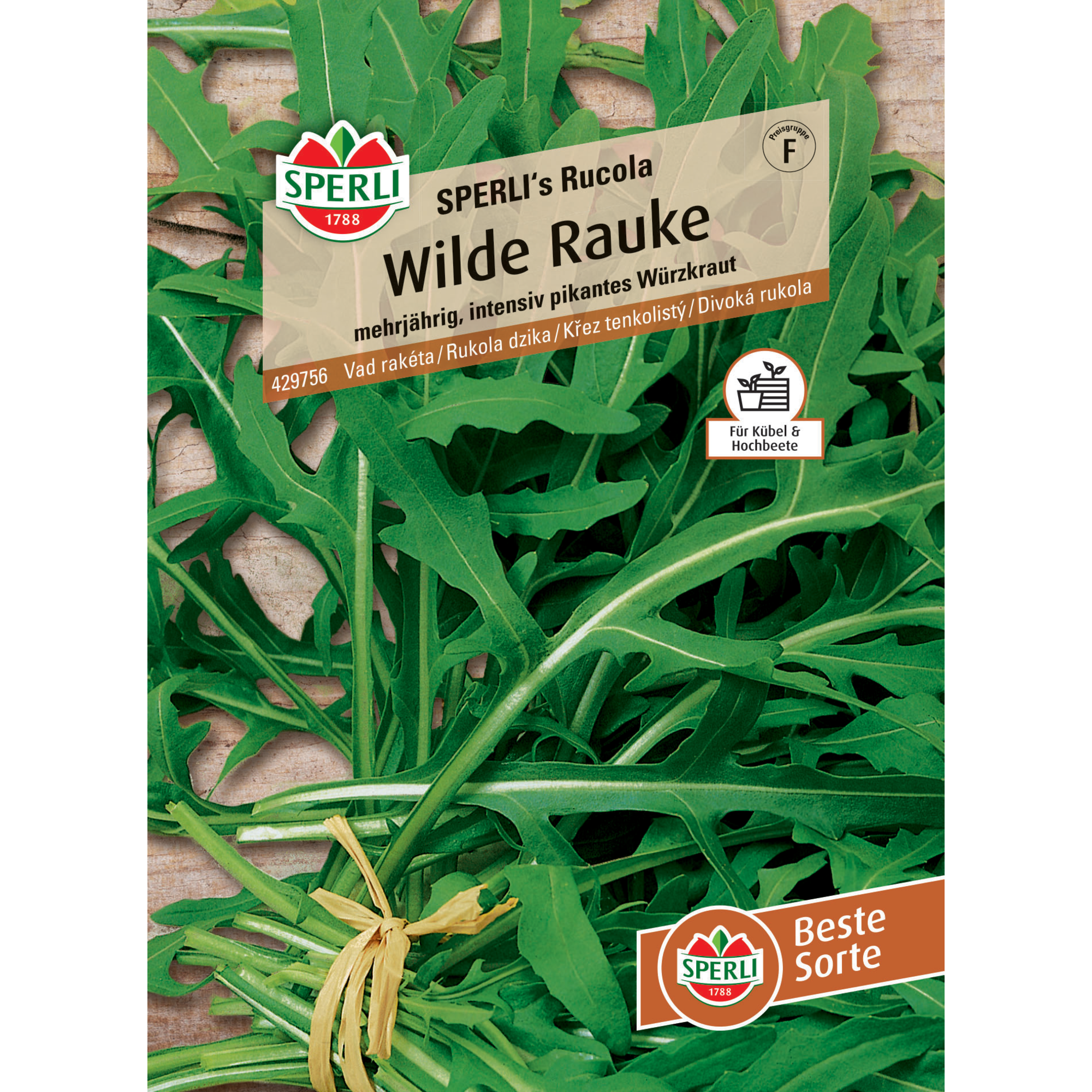 Wilde Rauke 'SPERLI's Rucola'