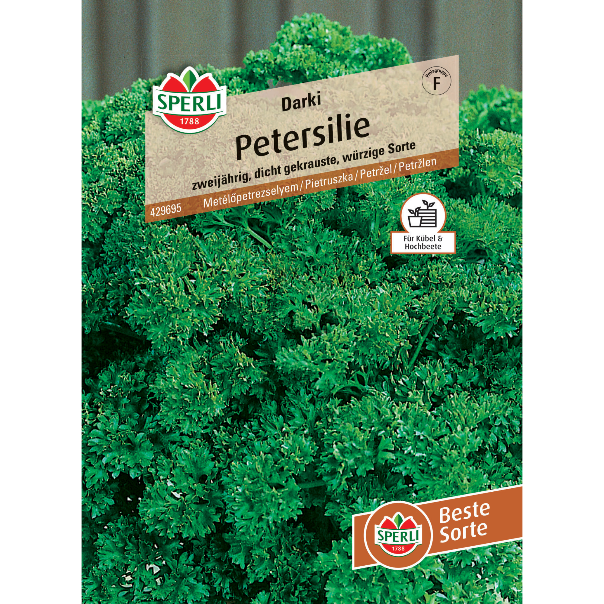 Petersilie 'Darki'