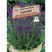 hauptbild