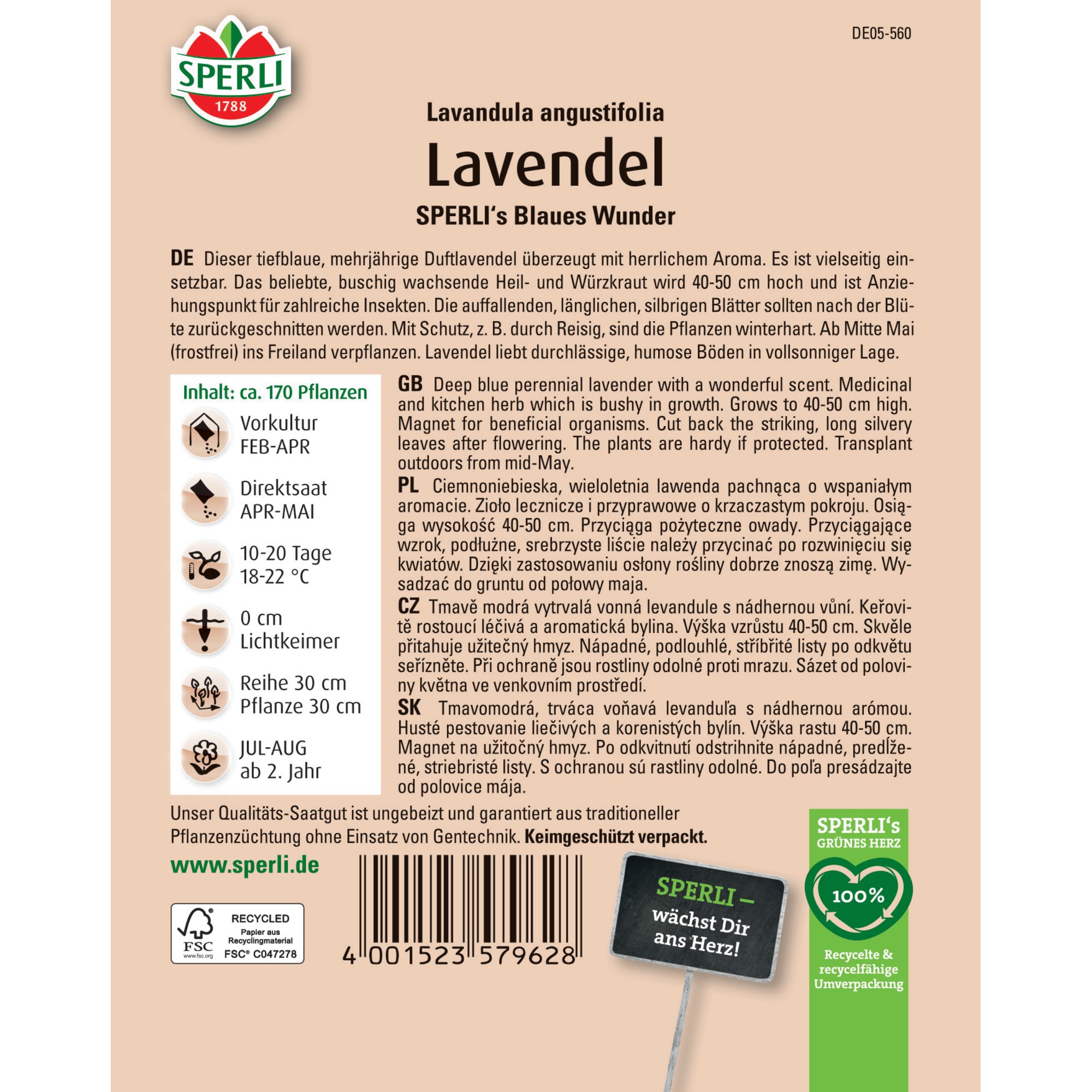 Lavendel 'SPERLI's Blaues Wunder'