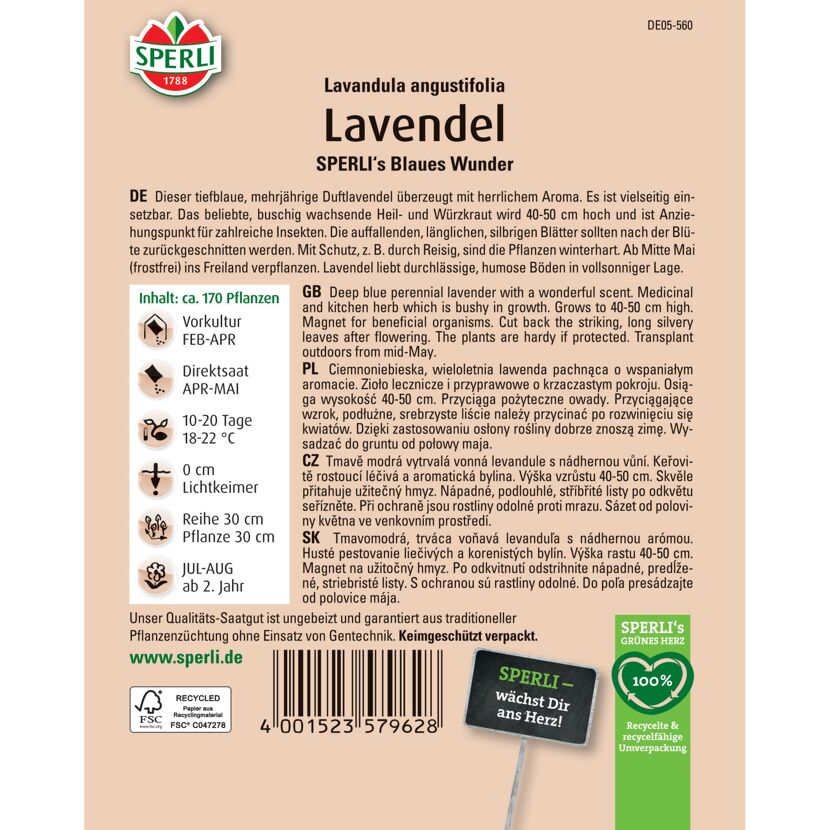 Lavendel 'SPERLI's Blaues Wunder'