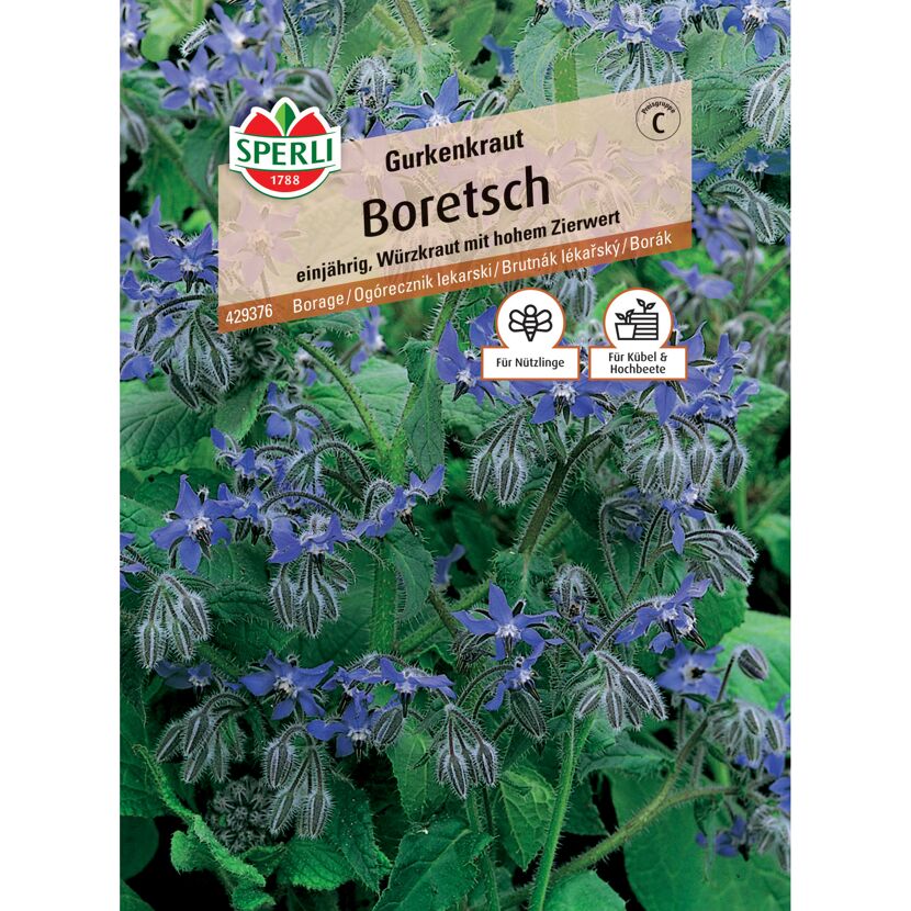 Boretsch Gurkenkraut