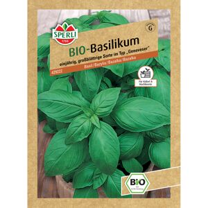 BIO-Basilikum 'Großer Grüner Genoveser'
