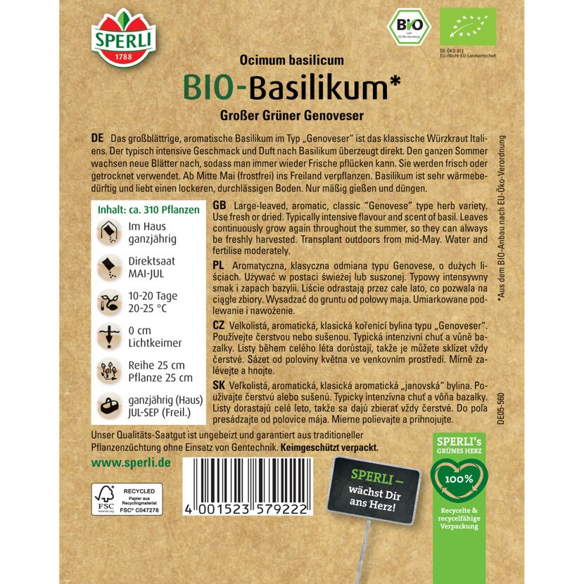BIO-Basilikum 'Großer Grüner Genoveser'