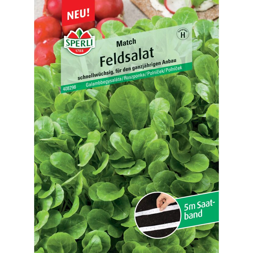 Feldsalat 'Match' Saatband 5 m