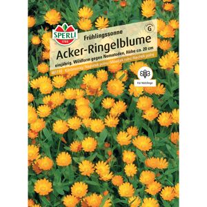 Acker-Ringelblume 'Frühlingssonne'