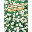 hauptbild