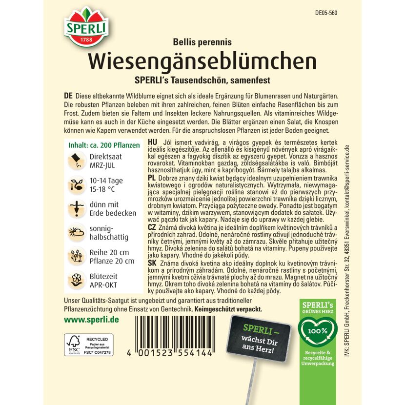 Wiesengänseblümchen 'SPERLI's Tausendschön'