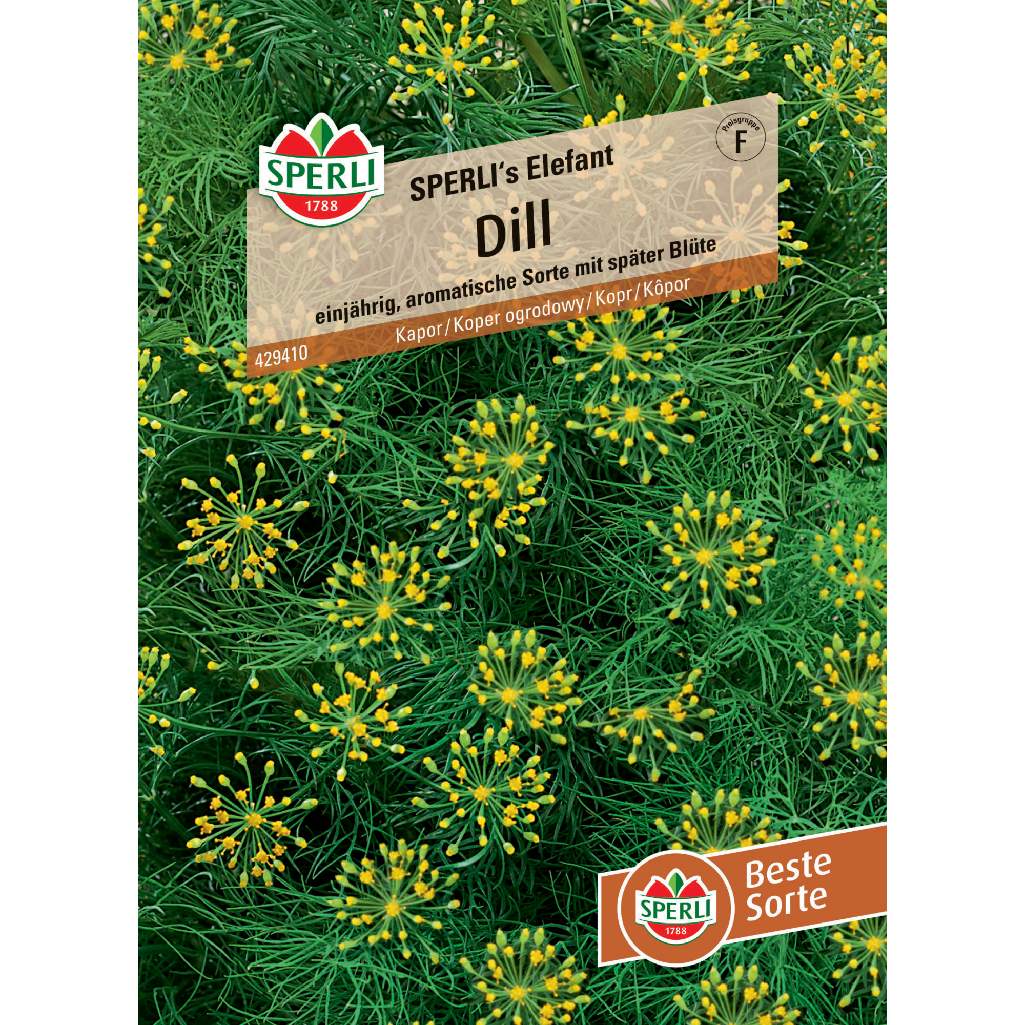 Dill 'SPERLI's Elefant'