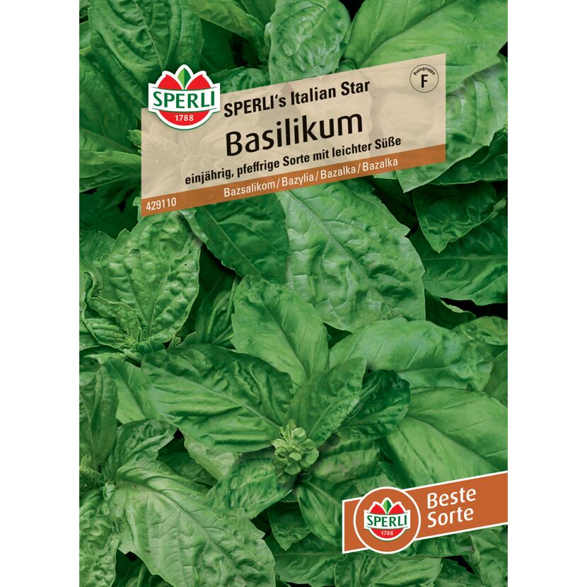 Basilikum 'SPERLI's Italian Star'