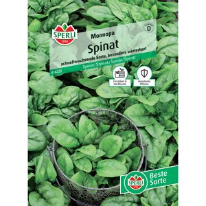 Spinat 'Monnopa'