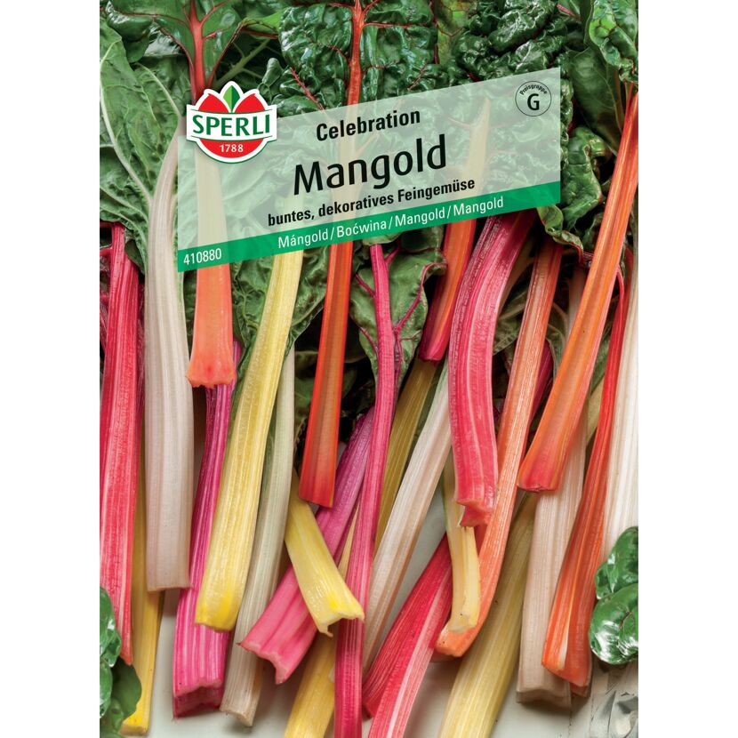 Mangold 'Celebration' F1-Hybride