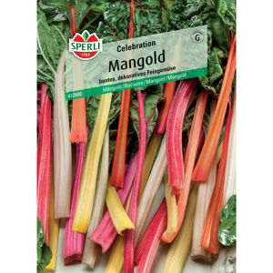 Mangold 'Celebration' F1-Hybride