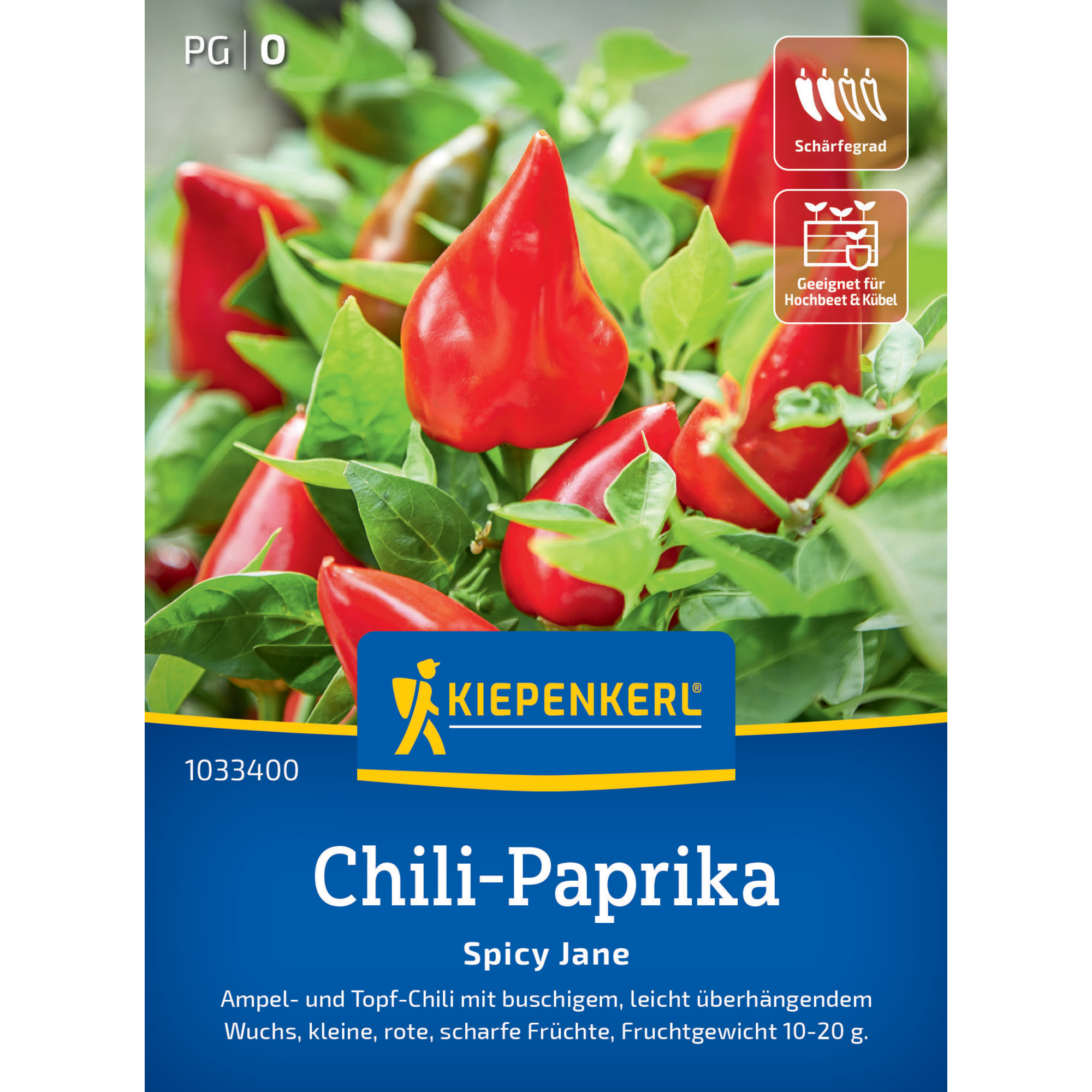 Chili-Paprika 'Spicy Jane' F1-Hybride