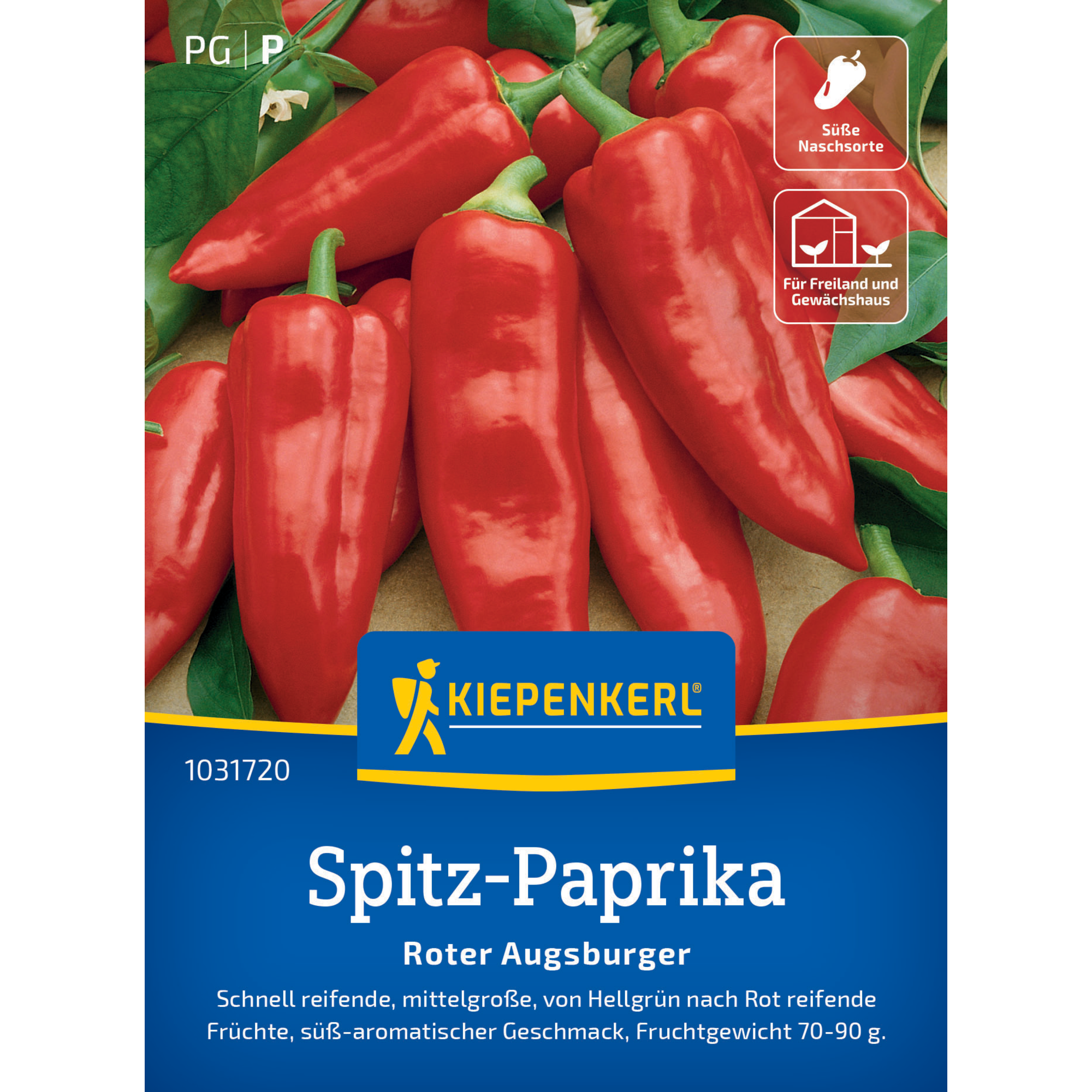 Spitz-Paprika 'Roter Augsburger'