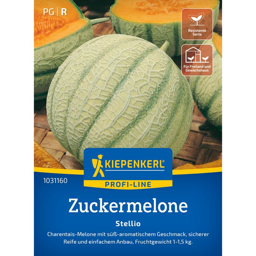 Zuckermelone 'Stellio' F1-Hybride