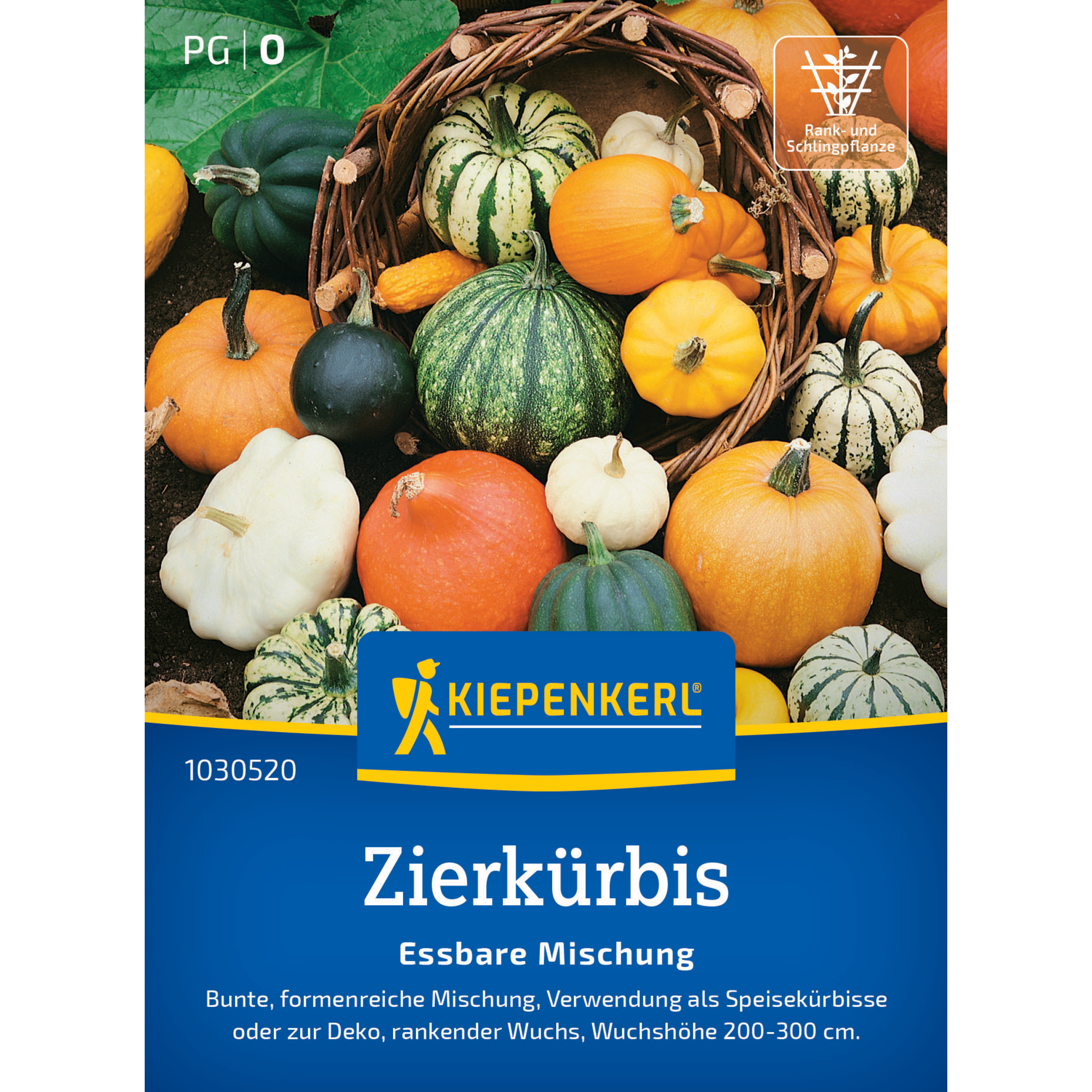 Zierkürbis 'Essbare Mischung'