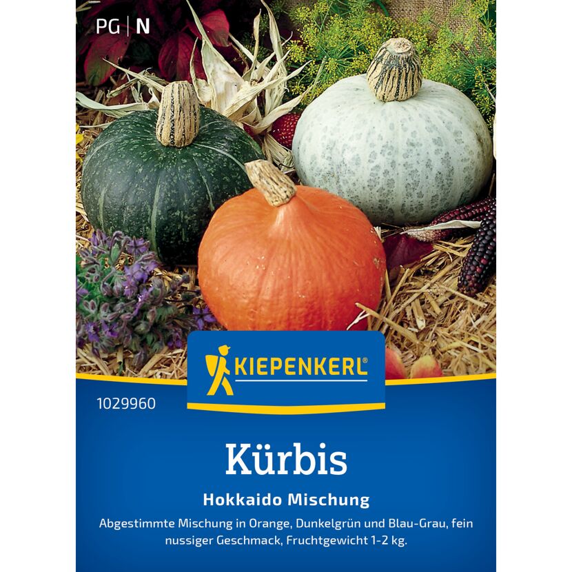 Kürbis 'Hokkaido Mischung'