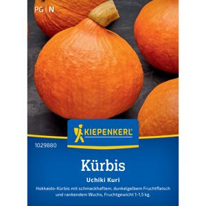 Kürbis 'Uchiki Kuri'