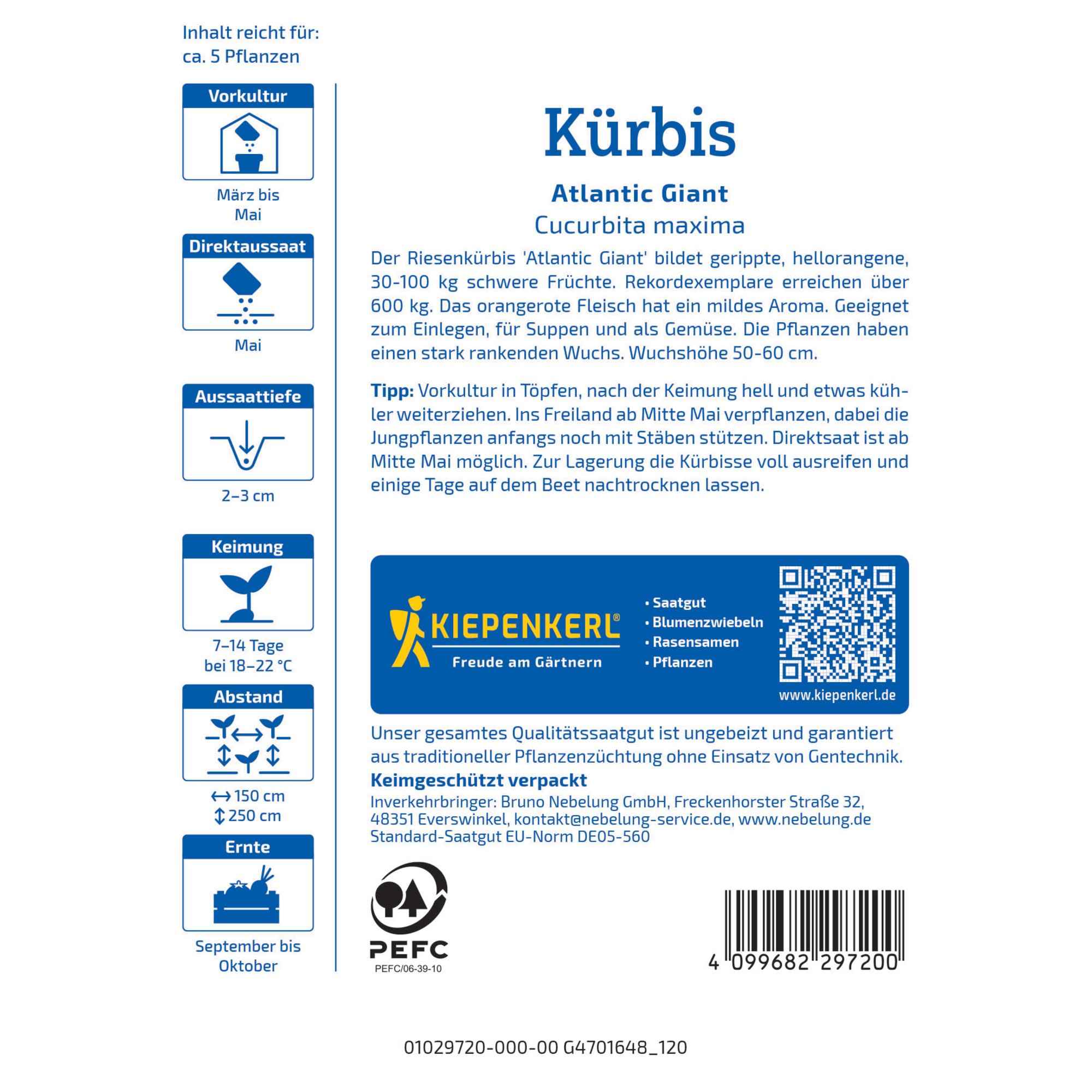 Kürbis 'Atlantic Giant'