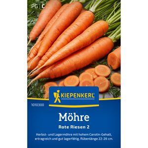Möhre 'Rote Riesen 2'