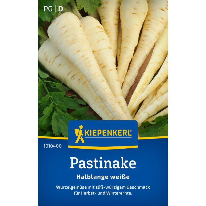 Pastinake 'Halblange weiße'