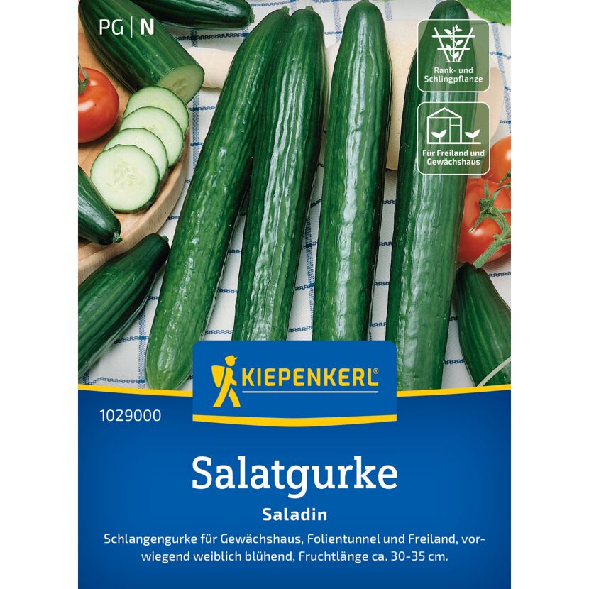 Salatgurke 'Saladin' F1-Hybride