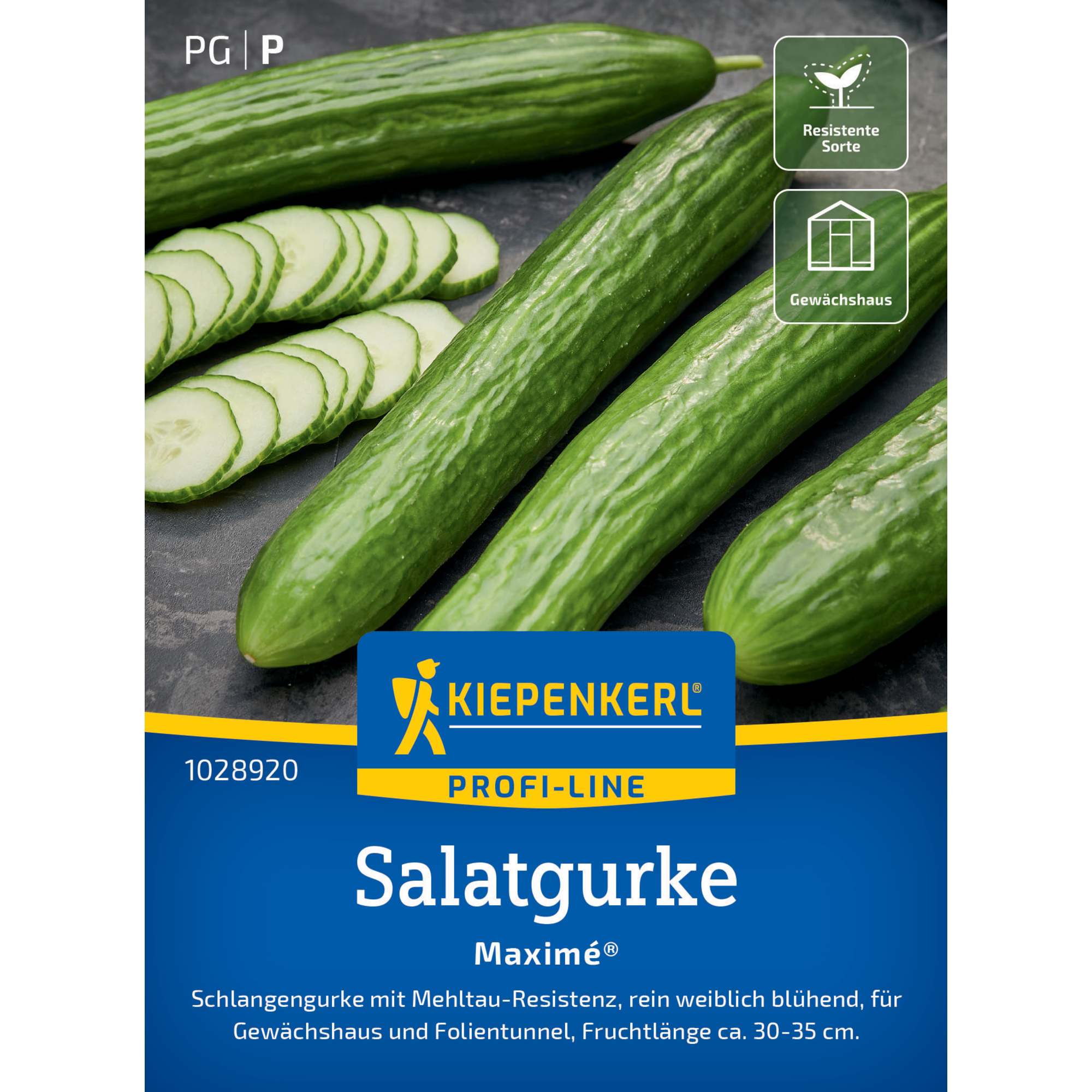 Salatgurke 'Maximé®' F1-Hybride