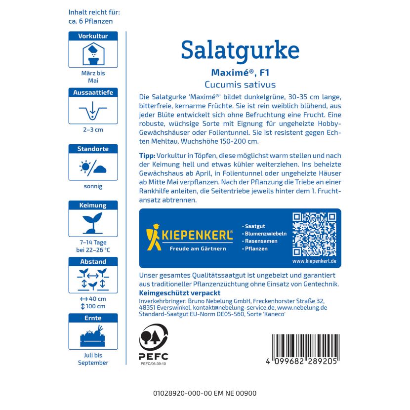 Salatgurke 'Maximé®' F1-Hybride