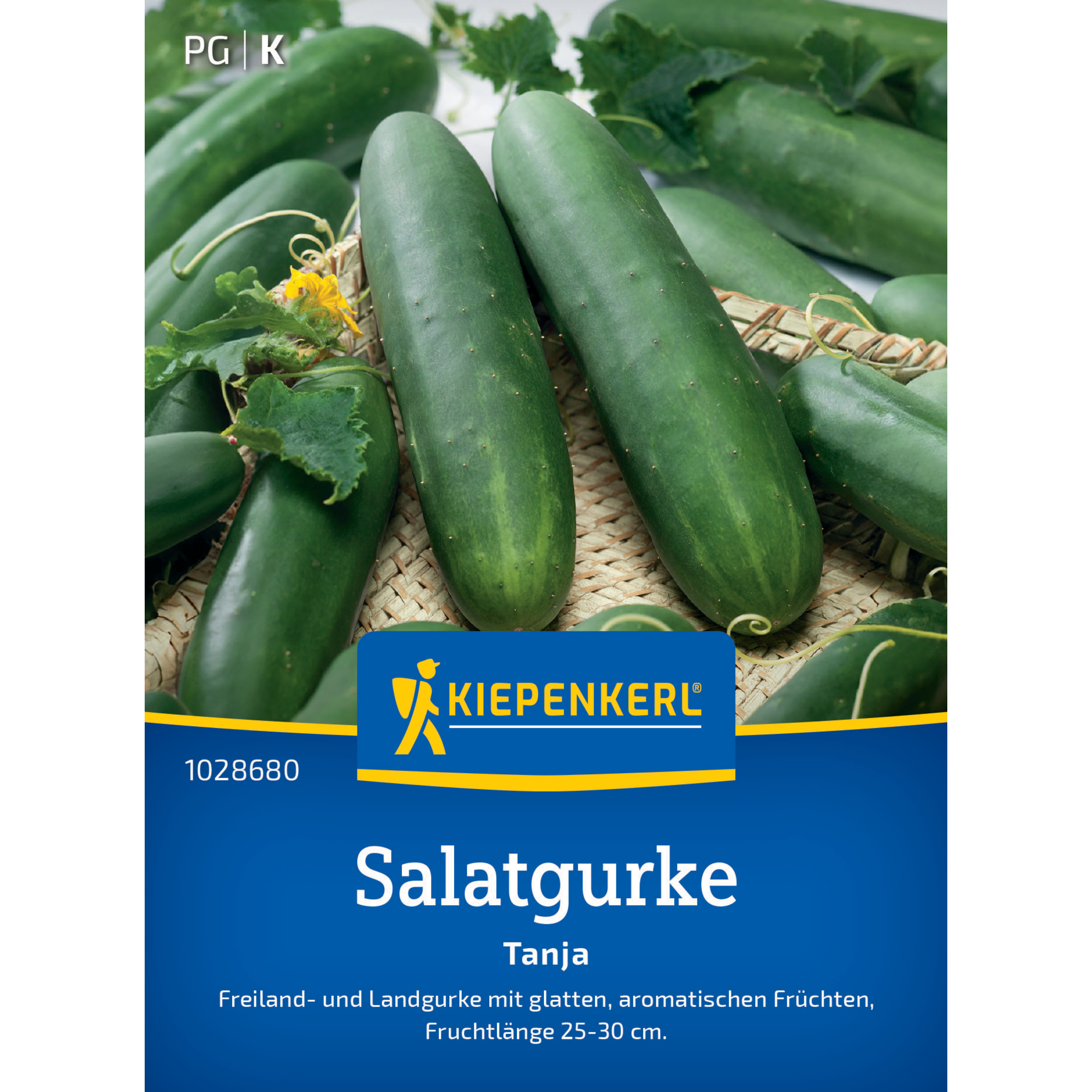 Salatgurke 'Tanja'