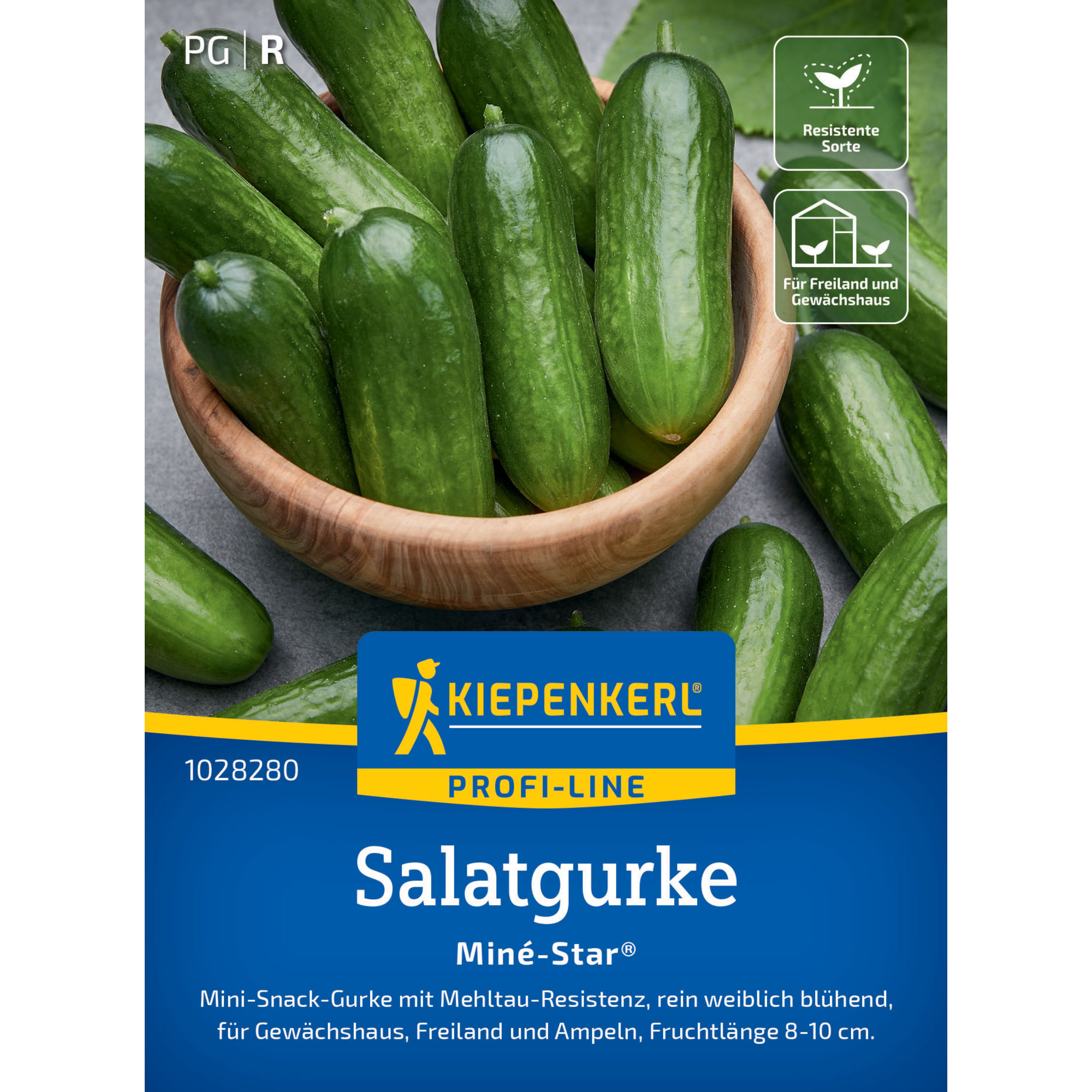 Salatgurke 'Miné-Star®' F1-Hybride