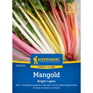 Mangold 'Bright Lights'