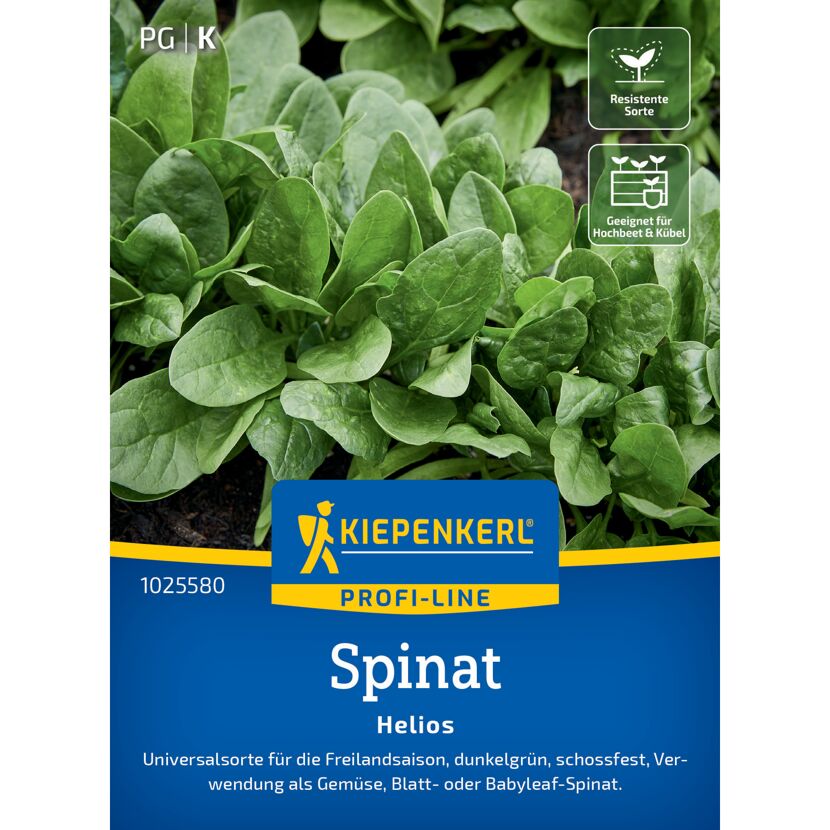 Spinat 'Helios' F1-Hybride