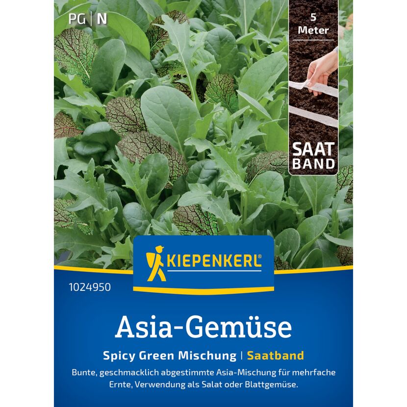 Asia-Gemüse 'Spicy Green Mischung' Saatband 5 m