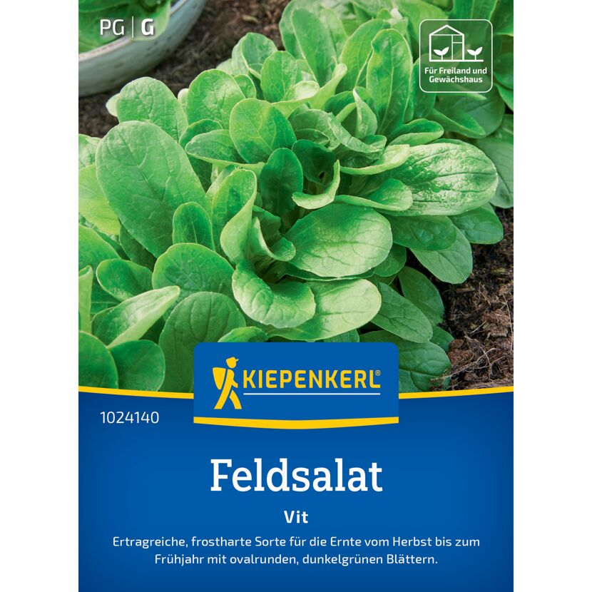Feldsalat 'Vit'