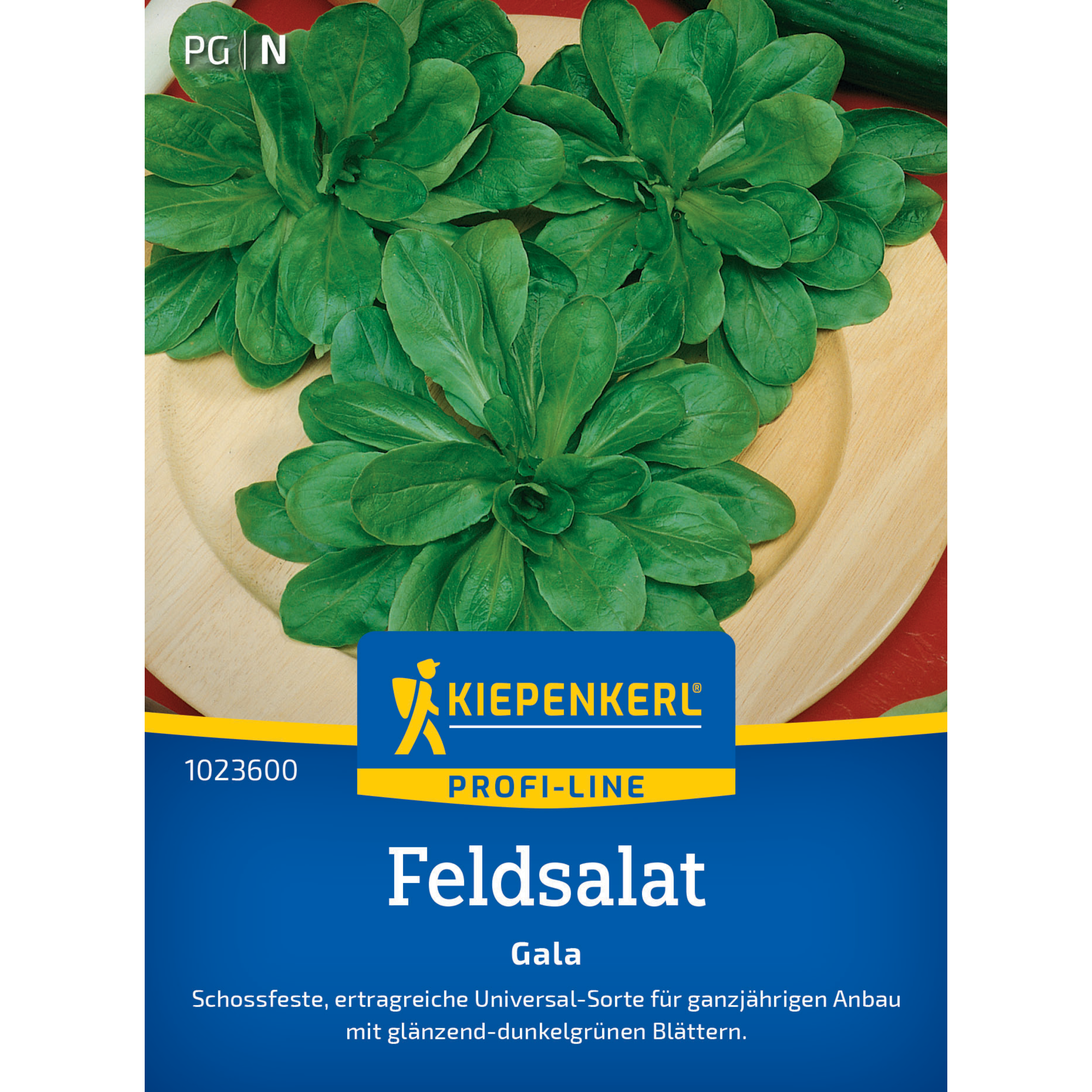 Feldsalat 'Gala'